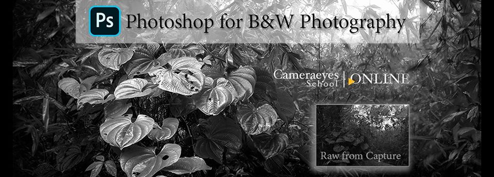 Photoshop for B&W Photography (ONLINE)