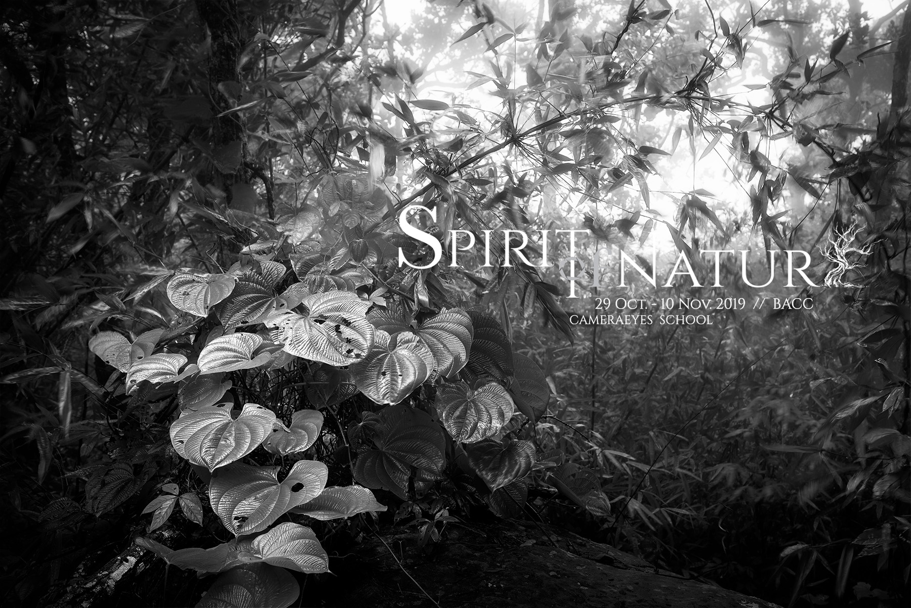 Spirit of Nature 2019 Exhibition