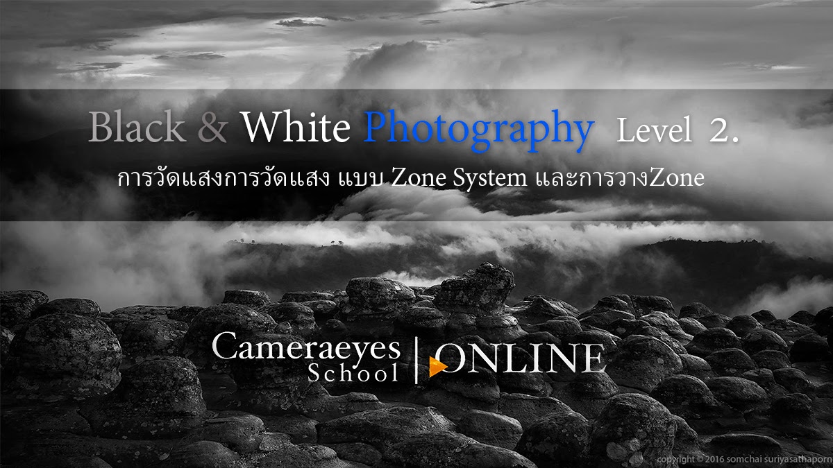 Black & White Photography Level 2