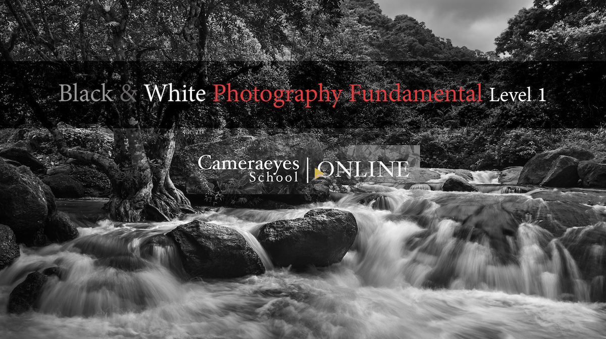 Black & White Photography Level 1 (OnLine)