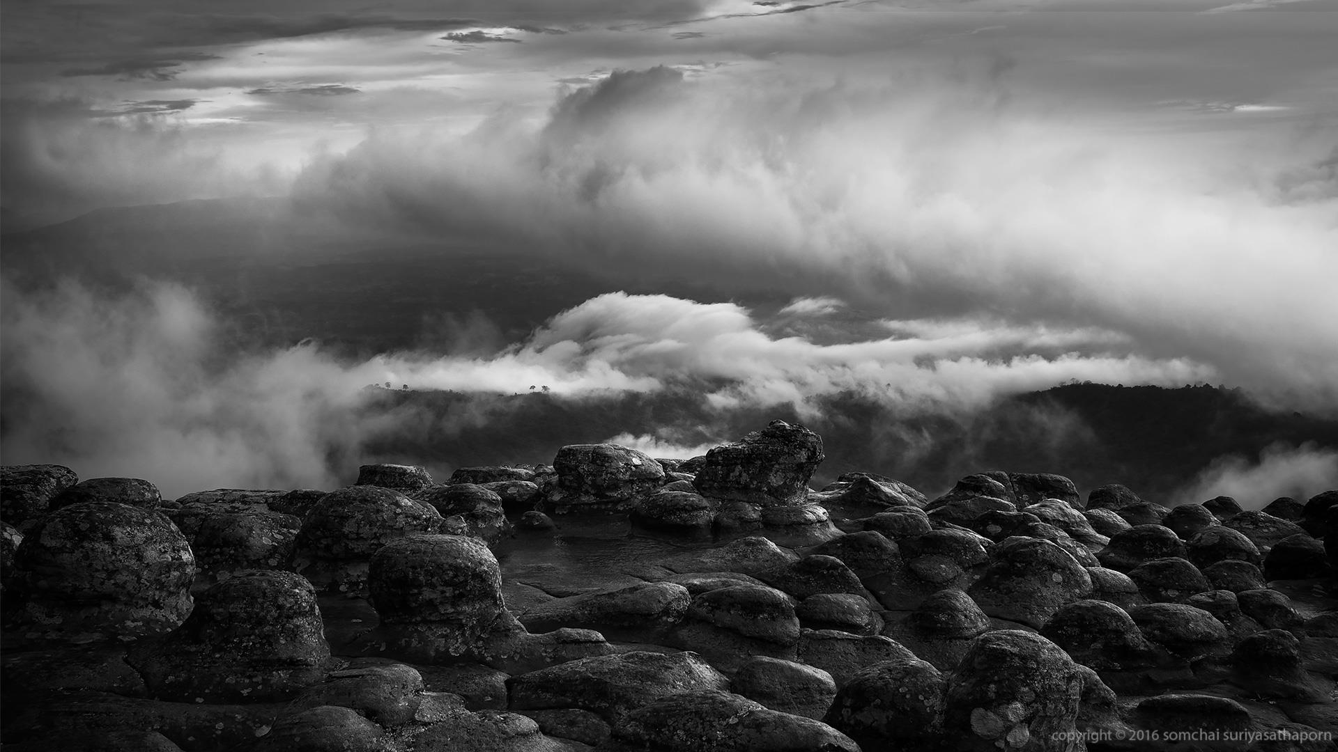 SSU8733 as Smart Object 3 BW