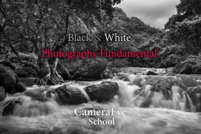 B&W Photography Fundamental 2024